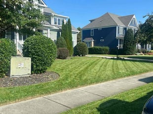 Earle T.'s Lawn Mowing Service service result
