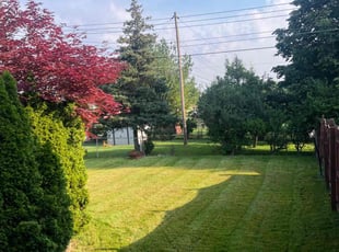 James E.'s Lawn Mowing service result
