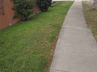 brianna f.'s Lawn Service service result