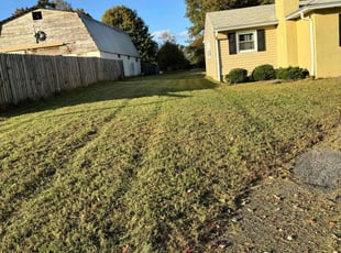 Togu L.'s Lawn Mowing service result