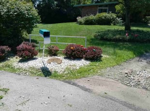 Weeding by Terrance North for Alison R. in Cincinnati, OH