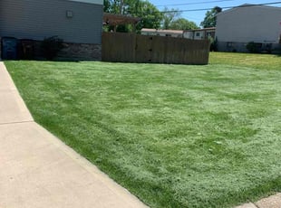 Evelyn M.'s Lawn Mowing service result