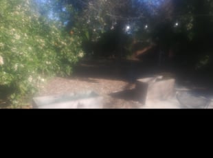 Weeding by Wilfredo Nunez for Benjamin R. in Sacramento, CA