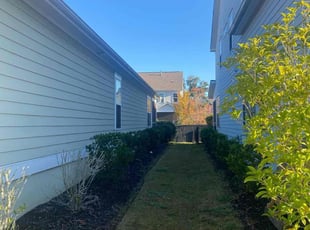 Bush Trimming by William Sellers for Nicholas P. in Mount Pleasant, SC