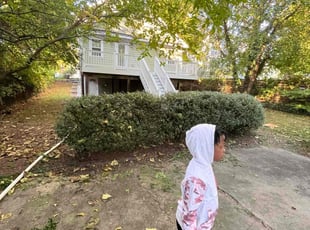 Bush Trimming by Steven Foster for Brian J. in Washington, DC