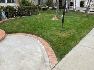Robert B.'s Lawn Mowing Service service result