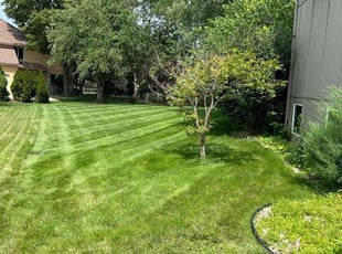 Nancy M.'s Lawn Service service result