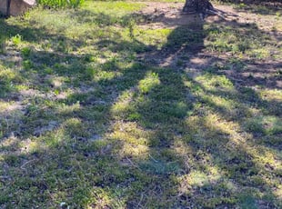 Cleanups by Shanita Brooks for Laura G. in Colorado Springs, CO