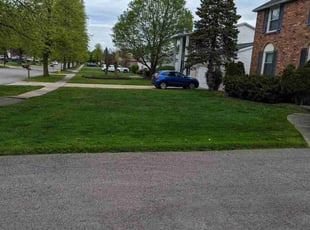 Lazar H.'s Lawn Mowing Service service result