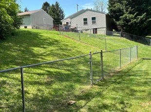 Edith C.'s Lawn Mowing service result
