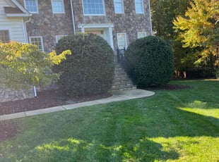 Bush Trimming by Kunique Billups for Kiersten C. in Midlothian, VA