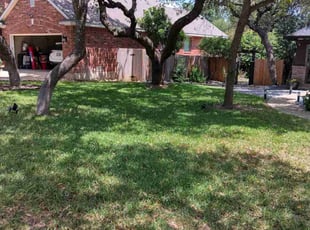 Alexandria F.'s Lawn Mowing Service service result