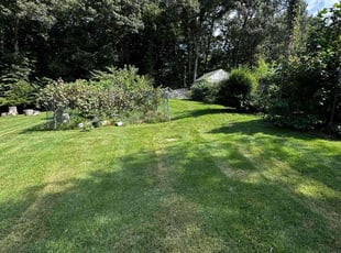 Melissa D.'s Lawn Mowing service result