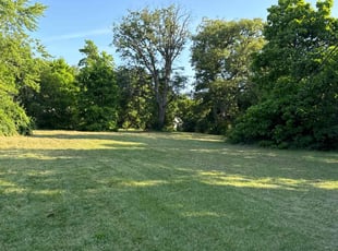 Kyle P.'s Lawn Mowing Service service result