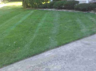 Vincent N.'s Lawn Mowing Service service result