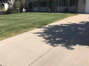 Onika M.'s Yard Cutting service result