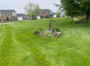 David S.'s Lawn Mowing service result