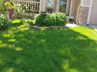 Bush Trimming by Kevin Ojeda Munoz for Jared C. in Parker, CO
