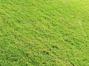 Jerry B.'s Lawn Service service result