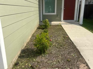 Bush Trimming by Patrick Stewart for Doticia S. in McKinney, TX
