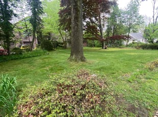 Richard R.'s Lawn Maintenance service result