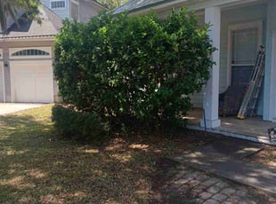 Bush Trimming by Terrence Johnson for GERALD R. in Atlantic Beach, FL