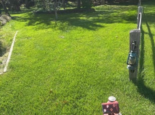 Jessica b.'s Yard Cutting service result