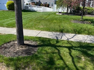 Patricia C.'s Lawn Care service result
