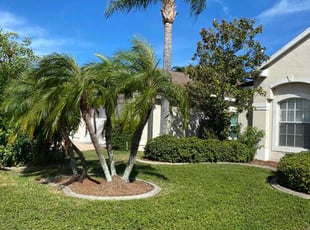 Tim H.'s Lawn Service service result