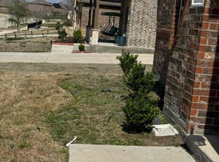 Weeding by Anabel Hernandez for Josh G. in Frisco, TX