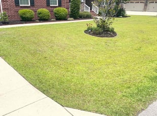Lenore Z.'s Lawn Care service result