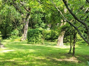 Kristen G.'s Grass Cutting service result