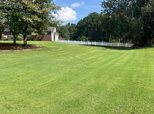 Constance H.'s Lawn Service service result