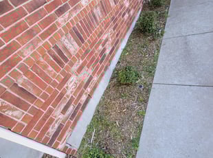 Bush Trimming by Timothy Steward for Kayla M. in Norman, OK
