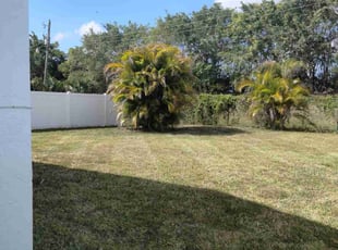 Ann S.'s Lawn Mowing service result