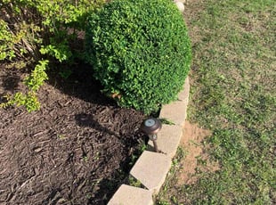 Bush Trimming by Jason Lees for Denae H. in Midwest City, OK