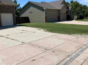 Zelene D.'s Lawn Mowing service result