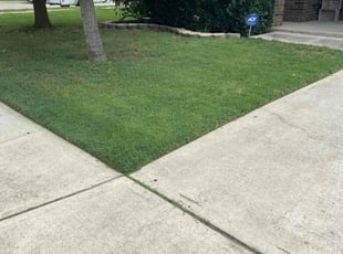 Donna T.'s Yard Cutting service result