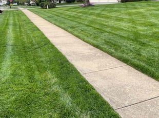 Robert C.'s Grass Cutting service result