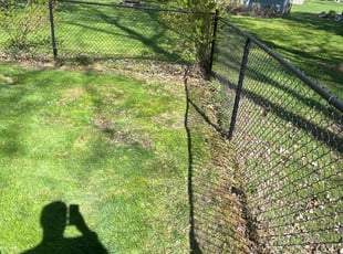 Leaf Removal by Juan Reynoso for thomas s. in Painesville, OH