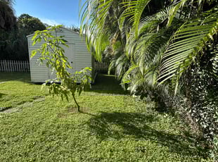 Mary S.'s Lawn Care service result