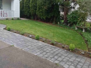 Walter P.'s Lawn Care service result