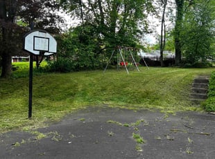Wayne D.'s Lawn Mowing Service service result