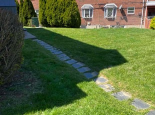 Jaycie R.'s Lawn Mowing Service service result