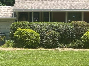 Bush Trimming by Jayson Penn for Amanda C. in Jacksonville, FL