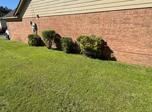 Bush Trimming by Eric Howard for Candace P. in Olive Branch, MS