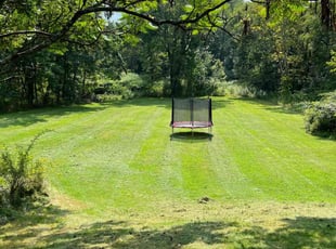 Clayton L.'s Lawn Mowing service result
