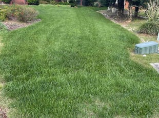 Ryan A.'s Lawn Mowing Service service result