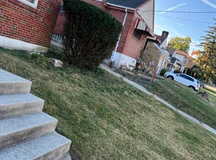 Bush Trimming by James Abernathy for Cheri C. in Cincinnati, OH