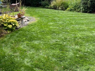 Nicolle R.'s Lawn Maintenance service result